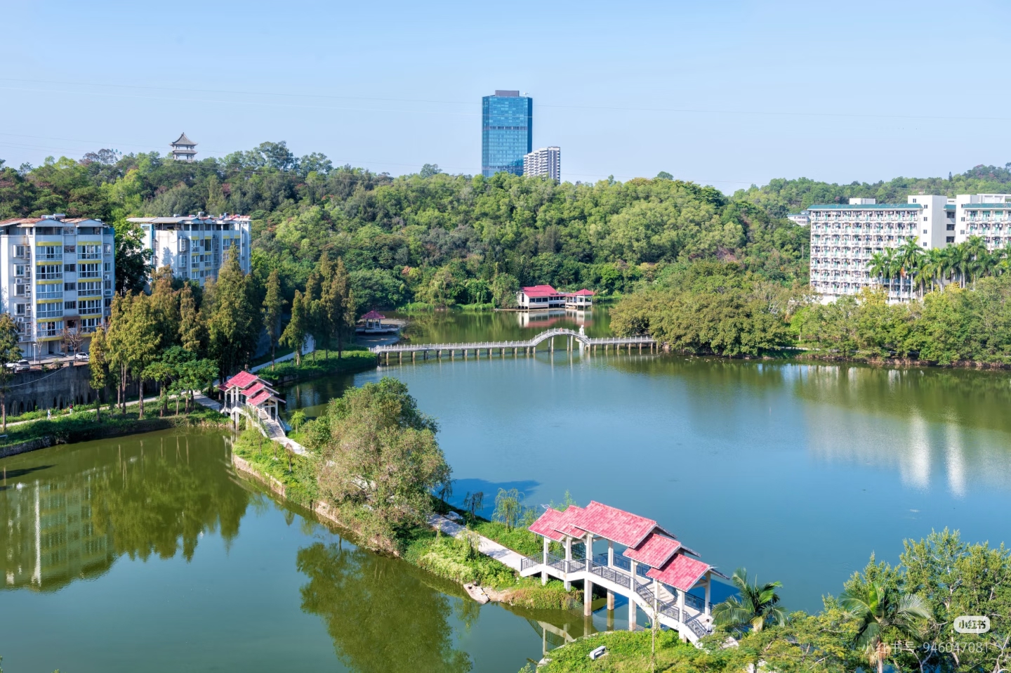 东丽湖